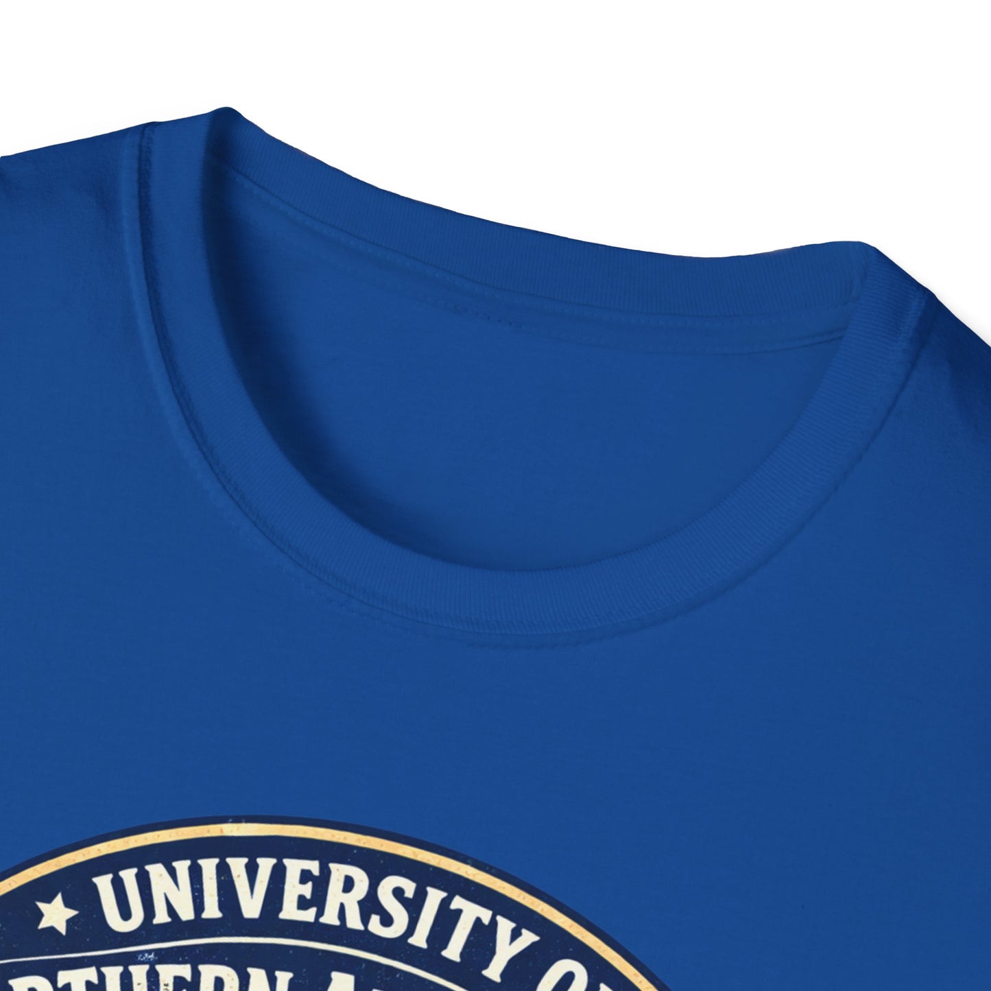 Class of '94 Beach Volleyball T-Shirt — University of Northern Alaska Tech Alumni Tee (Ice Version)